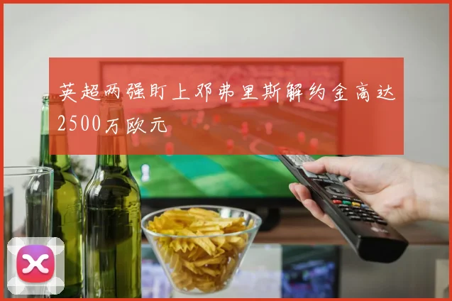 英超两强盯上邓弗里斯解约金高达2500万欧元