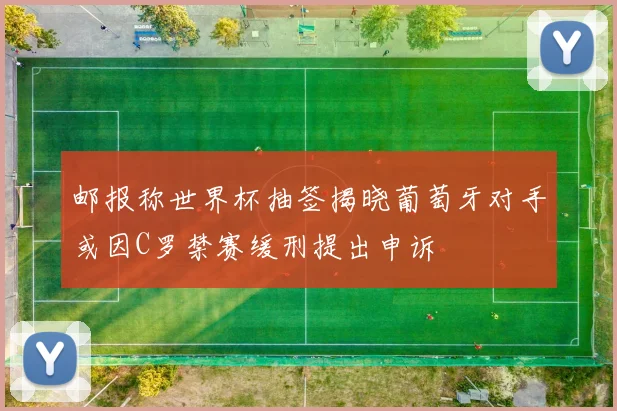邮报称世界杯抽签揭晓葡萄牙对手或因C罗禁赛缓刑提出申诉