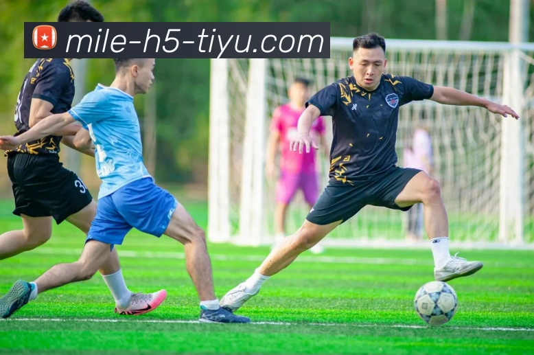 App Interface Preview