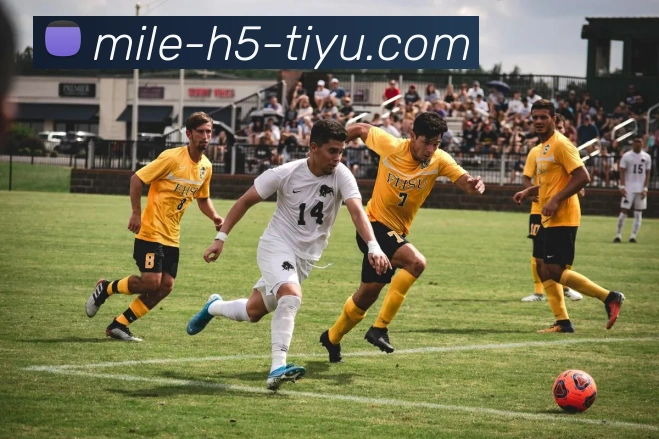 米乐体育APP 封面图